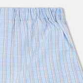 Pale Multi Check Cotton Godfrey Boxer Shorts