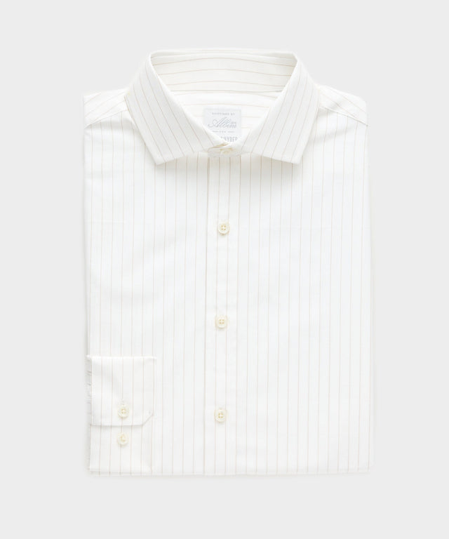 Cotton Spread Collar Dress Shirt