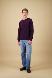 Pull Youri Col Rond Prune