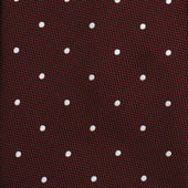 Polkadot Tie