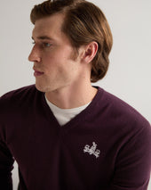 007 Logo V Neck Cashmere Jumper Purple