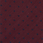 And Navy Polkadot Tie