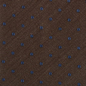 Brown and Blue Polkadot Tie