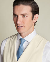 Morning Suit Vest
