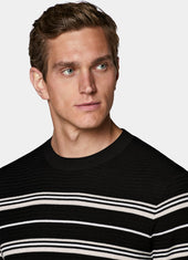Striped Jacquard Short Sleeve Crewneck