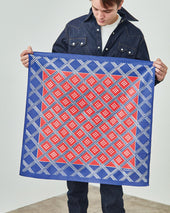 Scarf Federal Stars