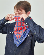 Scarf Federal Stars