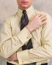 Pin Collar Shirt