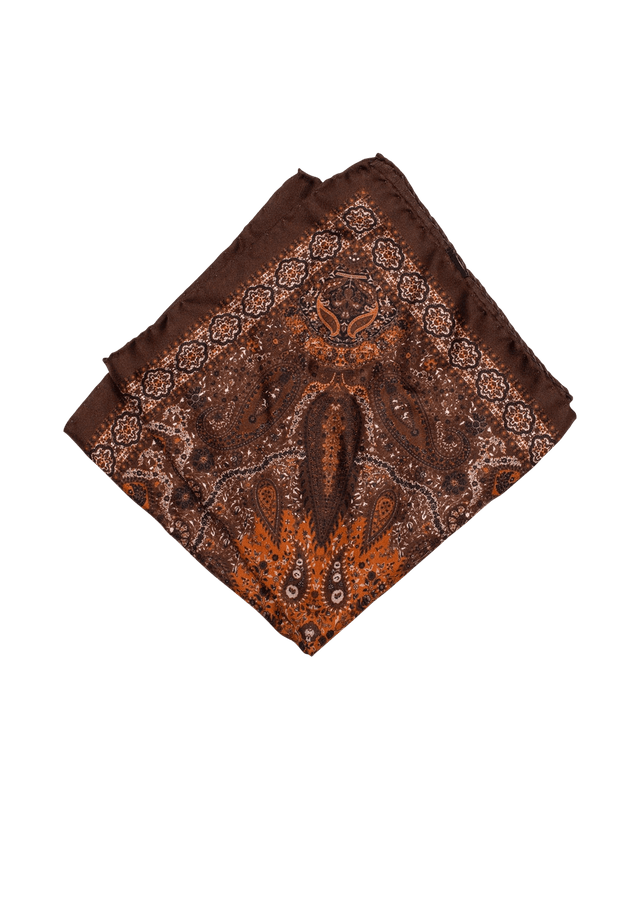 Silk Pocket Square S05