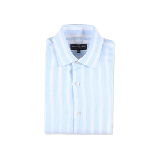 Casual Collar Shirt in Sky Blue Stripe