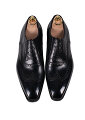 Wingtip Lazymen