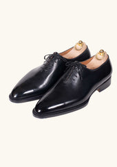 Seamless Oxfords