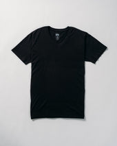 TEEV1