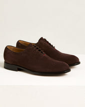 Coffee Suede Calfskin Caravaggio Lace Up Shoes
