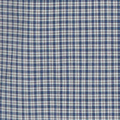 Shirt In Cotone Check Check Bluette