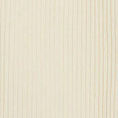 Pants Chino Funzionale In Velluto Naturale