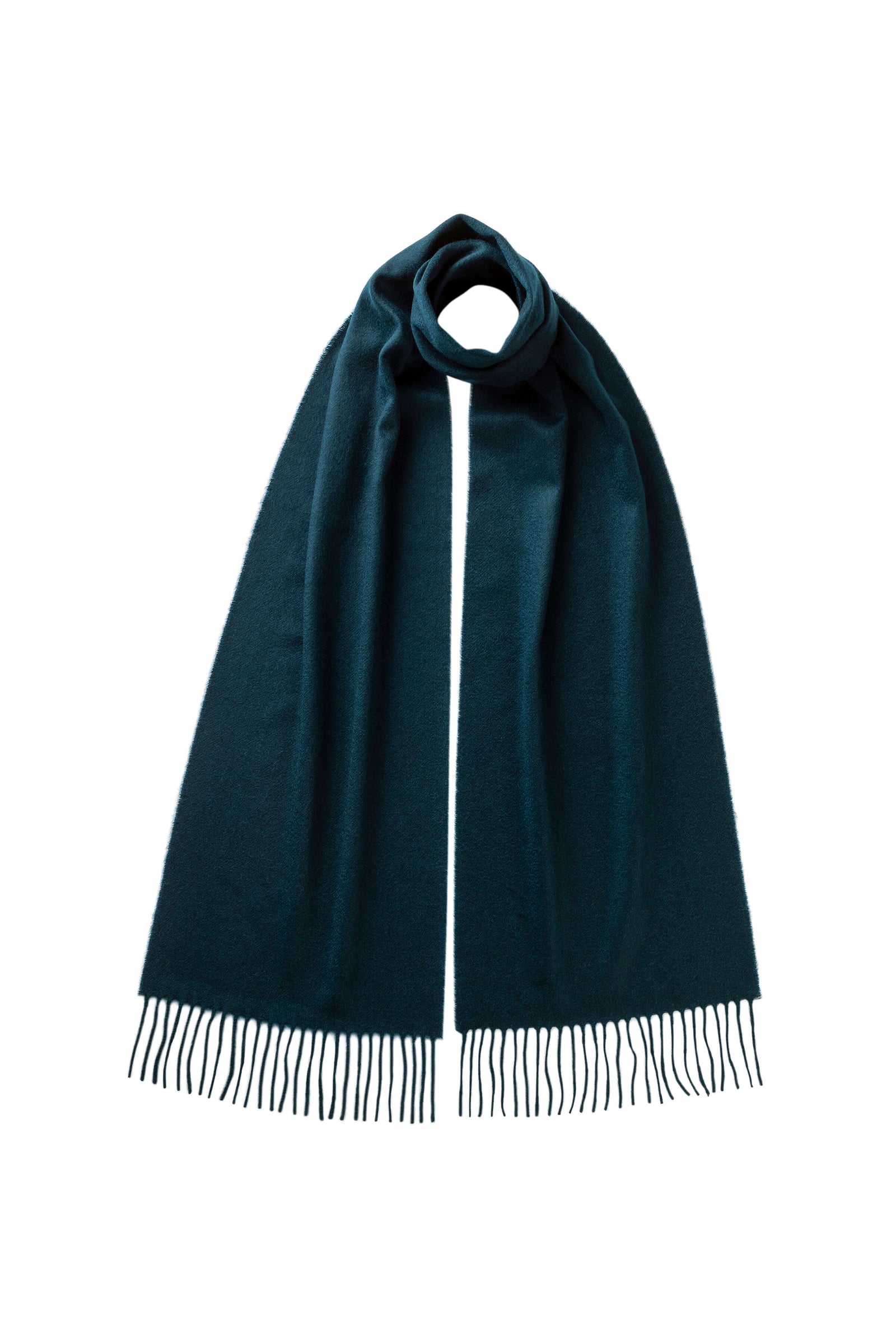 Cashmere Scarf