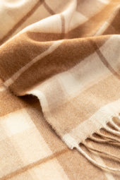Check Cashmere & Vicuña Scarf