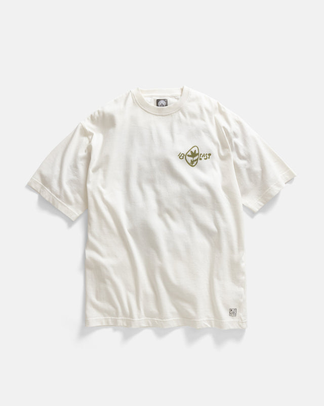 Whirlwind Aly Tee 7 75 Oz All Season Cotton Jersey