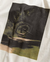 Whirlwind Aly Tee 7 75 Oz All Season Cotton Jersey