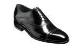 Wilton - Black Hi-Shine