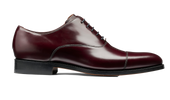 Warnford Hi Shine