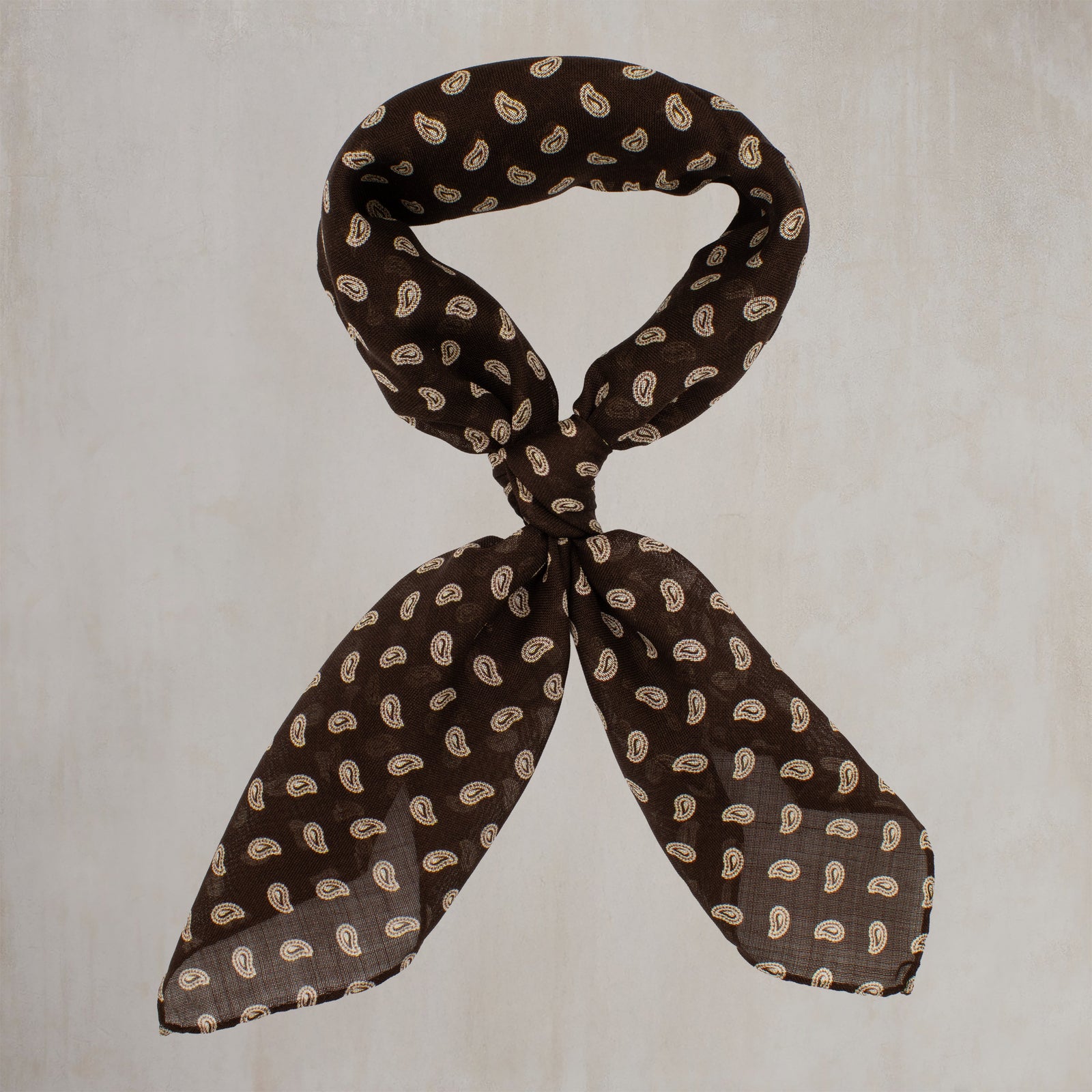 Wool And Silk Paisley Neckerchief In