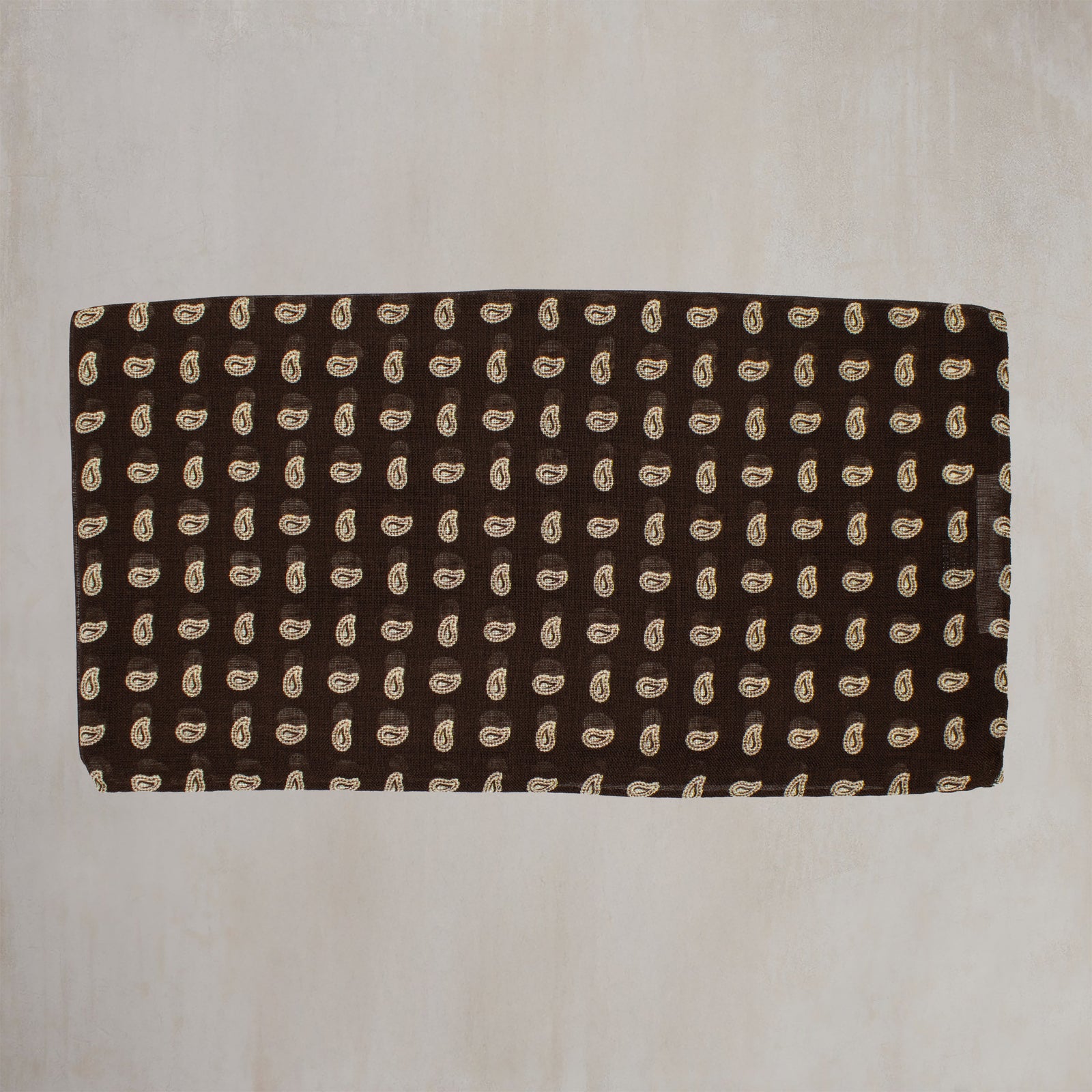 Wool And Silk Paisley Scarf In