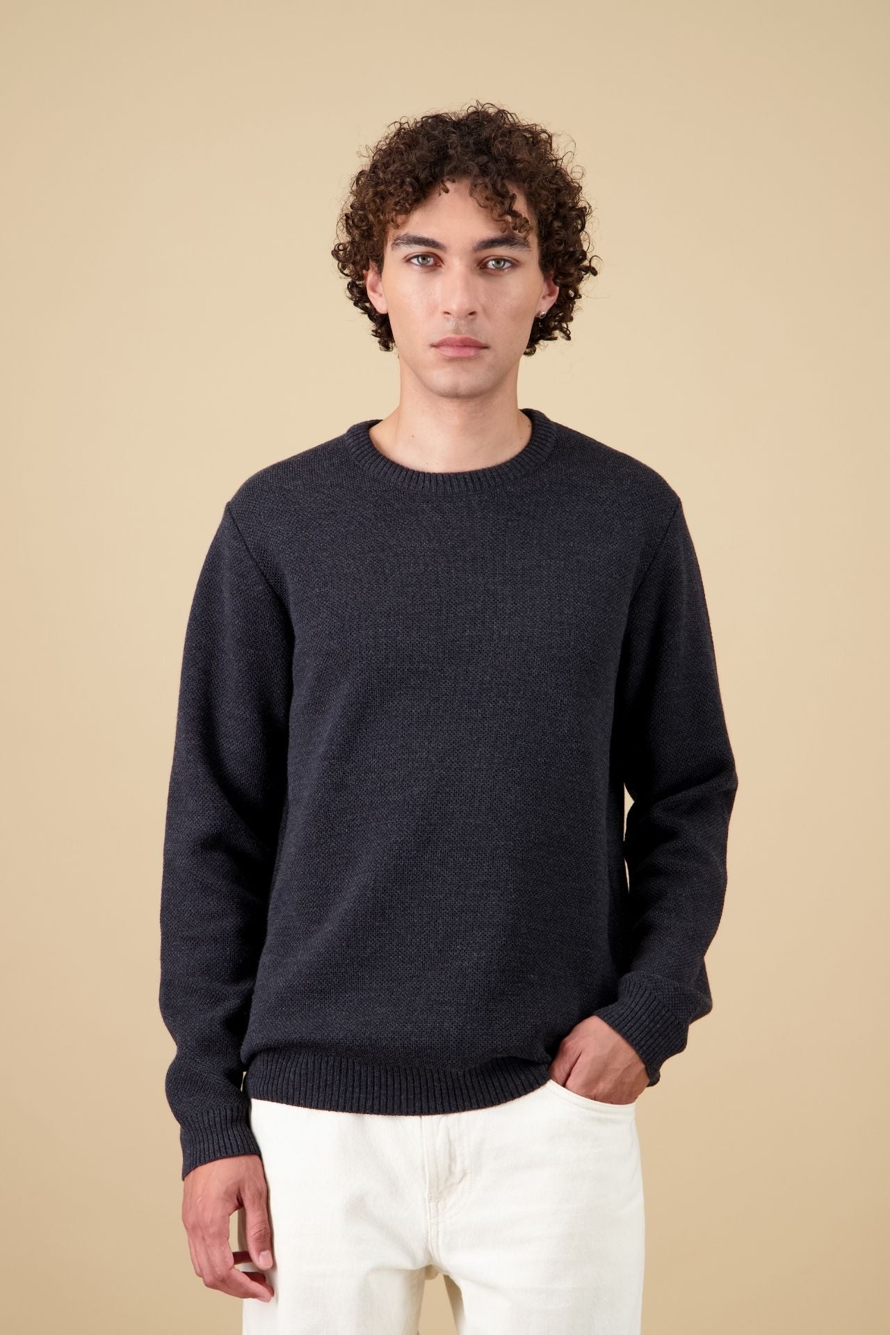 Pull Youri Col Rond Anthracite