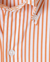 Ametora Bengal Stripe Broadcloth