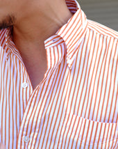 Ametora Bengal Stripe Broadcloth