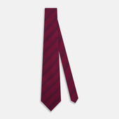 Dotted Stripe Printed Silk Tie