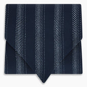 Dotted Stripe Printed Silk Cravat