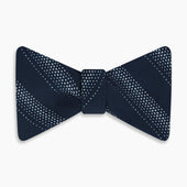 Dotted Stripe Printed Silk Bow Tie