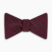 Red Micro Dot Bar Printed Silk Bow Tie