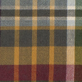 Washed Madras Shirt