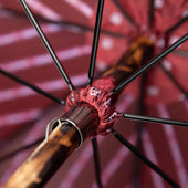 Shibumi X Mario Talarico Umbrella Floral Dark Hickory
