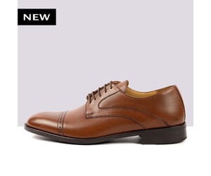 REGOLO BURNISH OAK 809 ELIPSE A231 CAFE