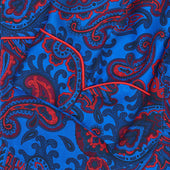 Exclusive Budd Paisley 36oz Dressing Gown in Budd Blue
