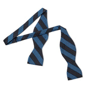 Broad Stripe Jacquard Silk Thistle Bow Tie in Sky and Grey