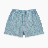 Pale And Green Multi Check Godfrey Boxer Shorts