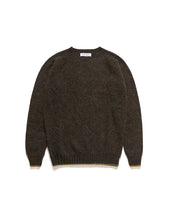 SHAGGY DOG CREWNECK SWEATER / TURIN