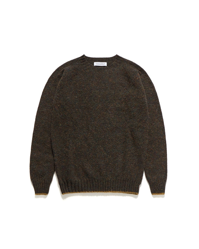 SHAGGY DOG CREWNECK SWEATER / TURIN