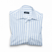 Alternate Stripe Carter Shirt