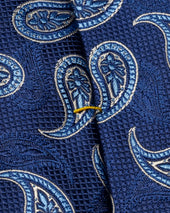 Paisley Silk Tie
