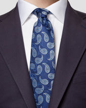 Paisley Silk Tie