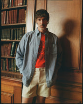 Light Solid Sport Shirt