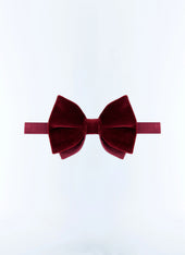 Velvet And Silk Bow Tie