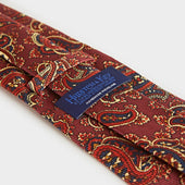 Paisley Motif Printed Silk Tie