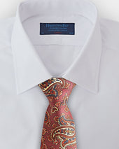 Paisley Motif Printed Silk Tie